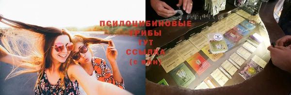 ешки Алексеевка