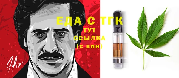 индика Сатка