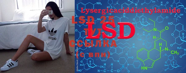 индика Сатка