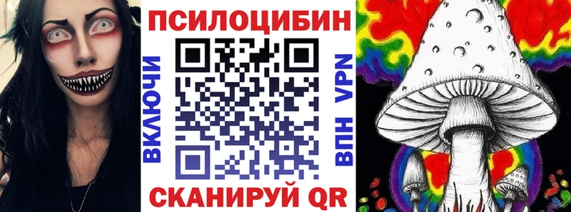 Псилоцибиновые грибы Cubensis  дарк нет как зайти  Енисейск  даркнет сайт 
